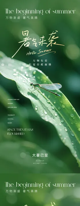 绿色清新大暑摄影图海报
