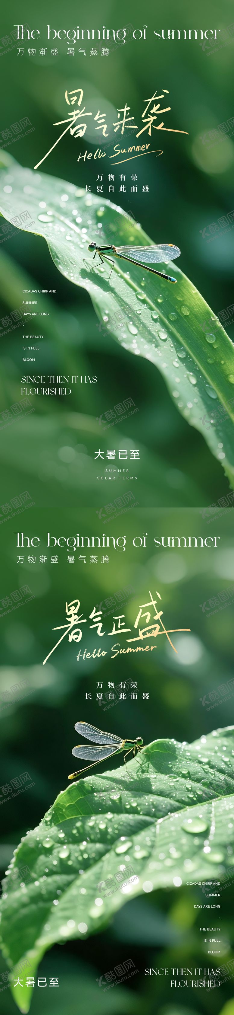 编号：26630906272311141347【酷图网】源文件下载-大暑节气摄影海报