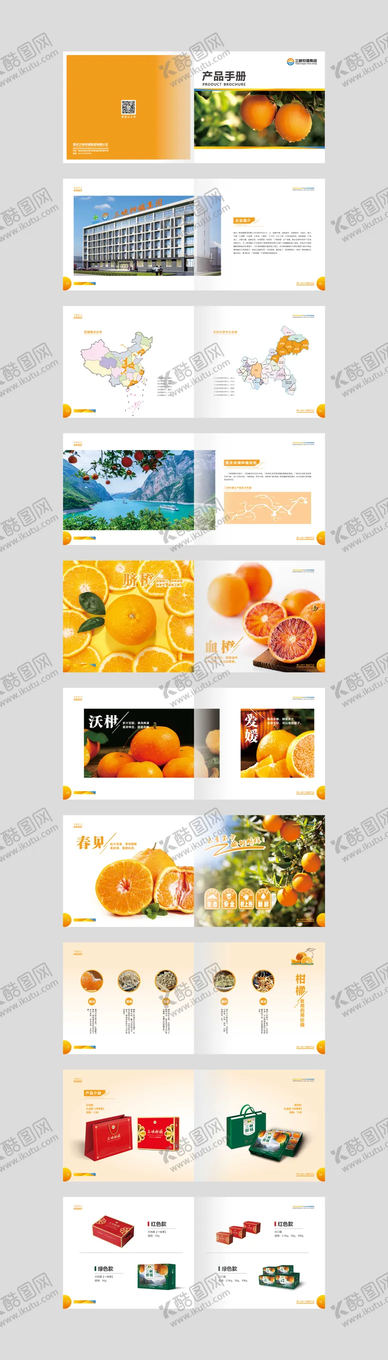 编号：95152812052132217473【酷图网】源文件下载-柑橘画册宣传册