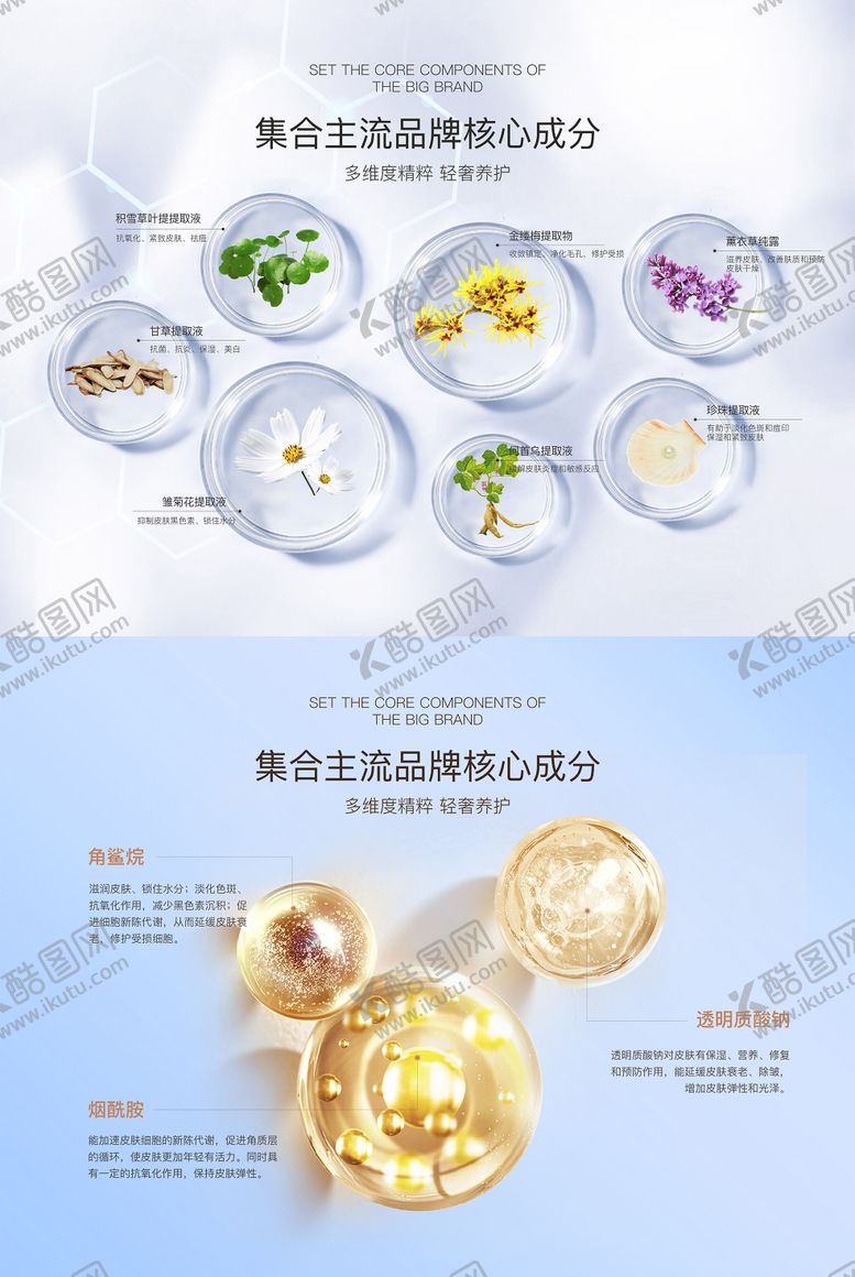 编号：48161105051034096295【酷图网】源文件下载-护肤产品成分展板