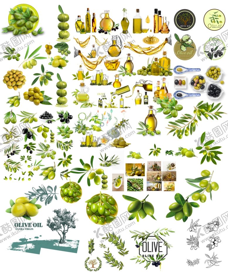 编号：31195210090755399493【酷图网】源文件下载-橄榄