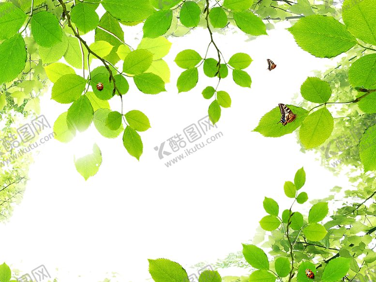 编号：23772809140128126358【酷图网】源文件下载-花边