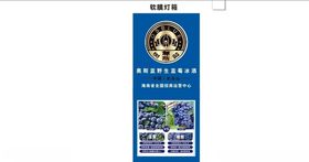 蓝莓雪冰