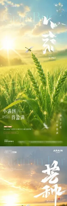 情人节小满芒种麦穗海报