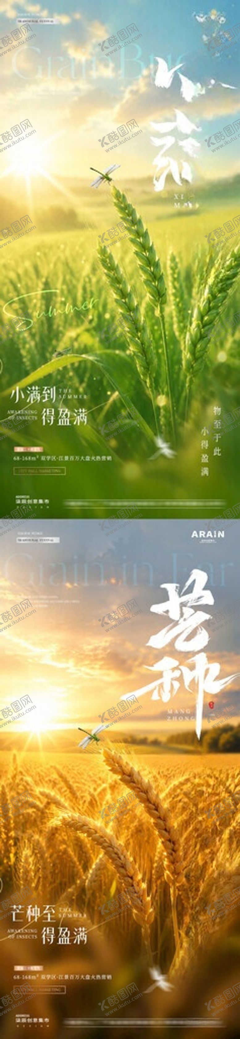 编号：19955705291011399811【酷图网】源文件下载-地产小满芒种麦穗风景海报