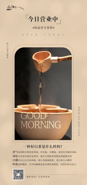 白茶日签小知识系列