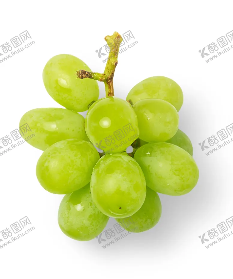 编号：81692703301353107433【酷图网】源文件下载-葡萄