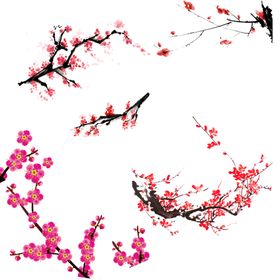 梅花素材