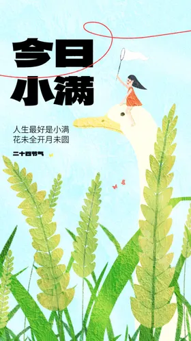 小满传统活动节气海报