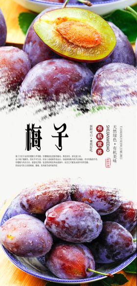 梅子海报