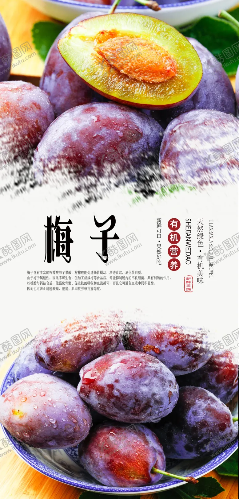 编号：60956309270753318597【酷图网】源文件下载-梅子海报