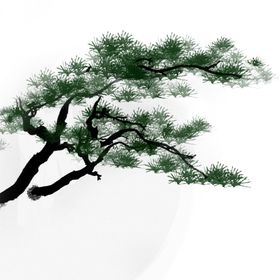 中国古风传统花鸟图案