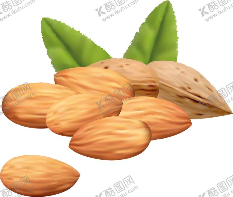 编号：33905405131036329643【酷图网】源文件下载-杏仁