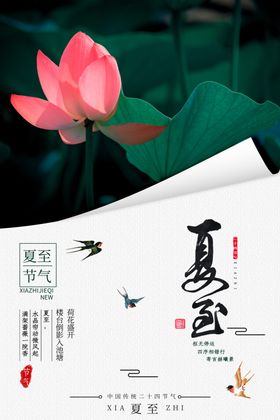 夏至刷屏海报