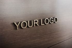 logo样机