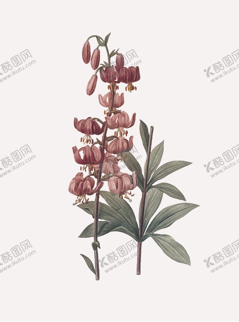 编号：42354709232155503108【酷图网】源文件下载-花纹