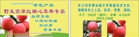 红色高原苹果礼盒装海报