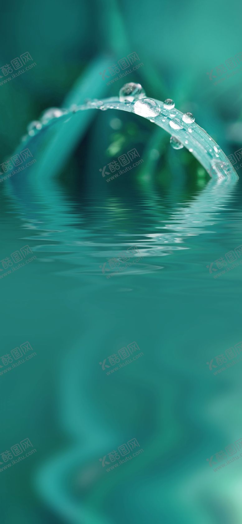 编号：40429304022357475005【酷图网】源文件下载-节气海报