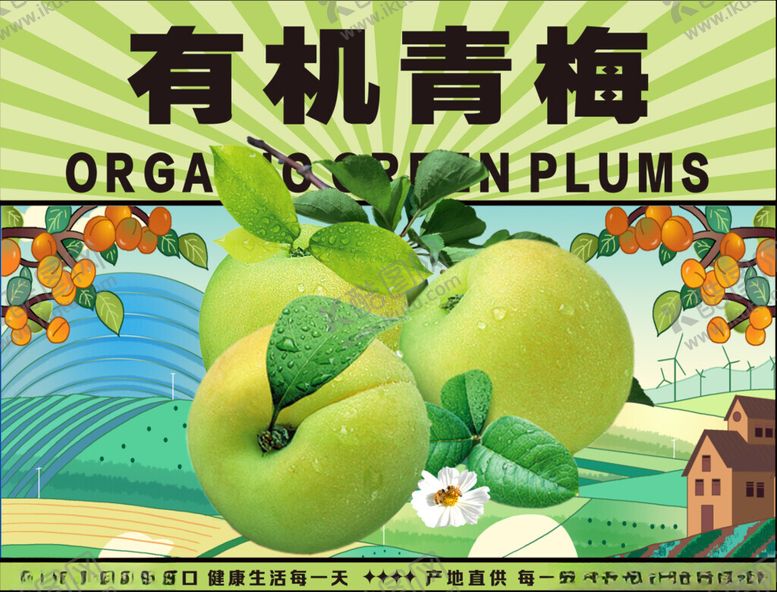 编号：80533209221516505705【酷图网】源文件下载-有机青梅宣传图