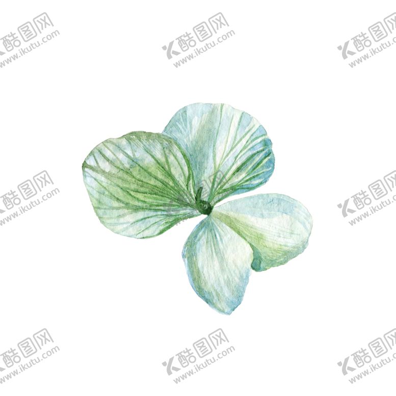 编号：66321305142342588948【酷图网】源文件下载-鲜花素材