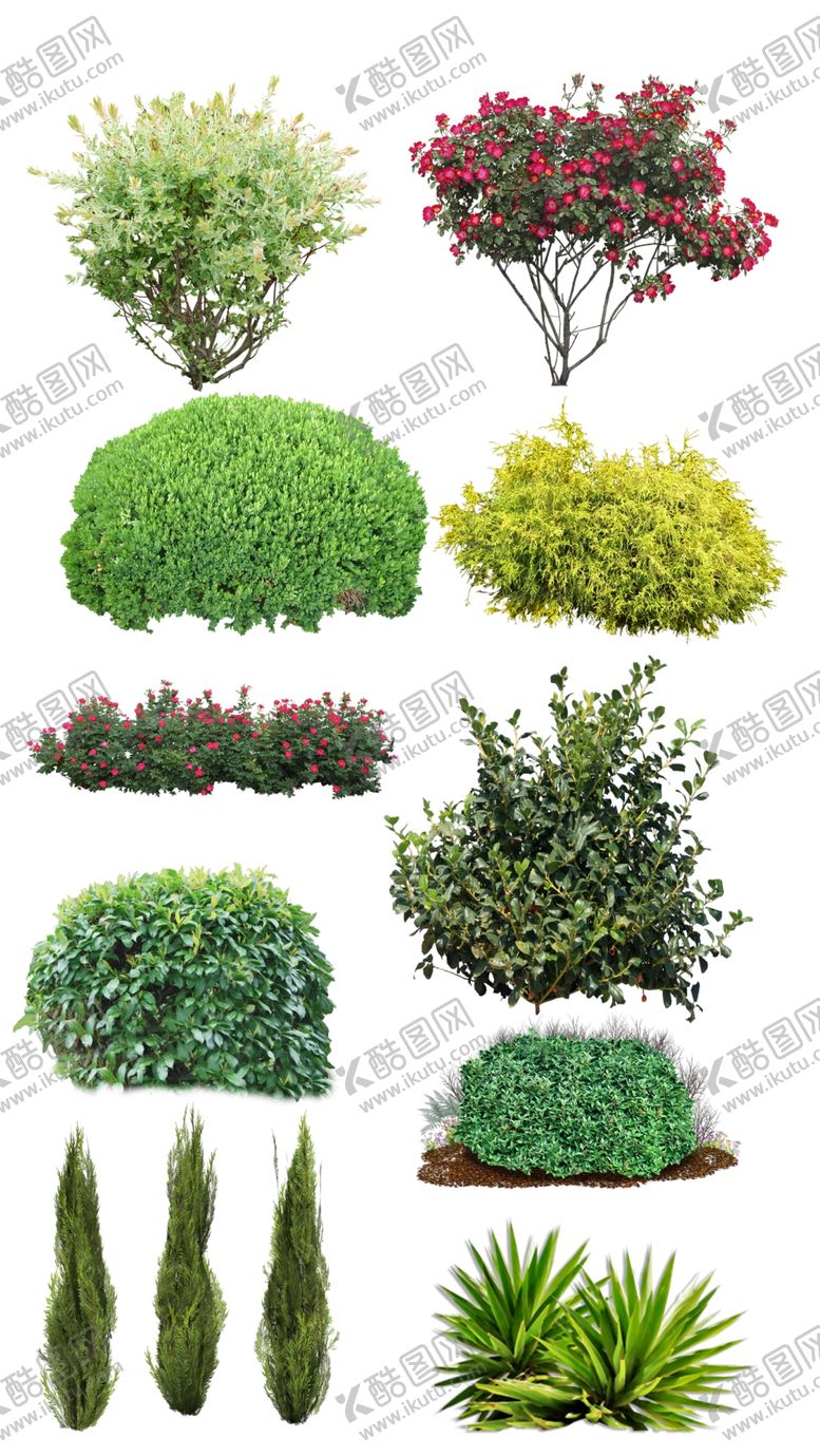 编号：89764109162236525340【酷图网】源文件下载-花圃树木高清免扣素材