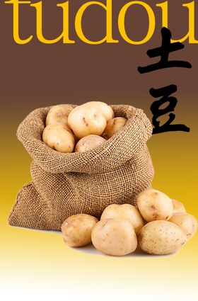 土豆炖肉免扣图