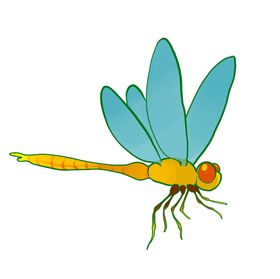 蜻蜓