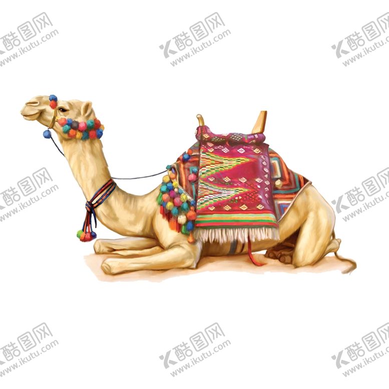 编号：87761509201632146743【酷图网】源文件下载-骆驼