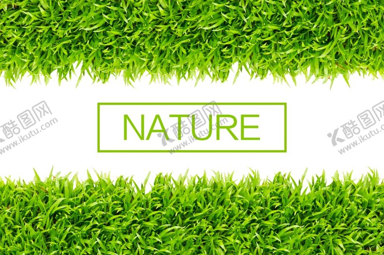 编号：59921009231902455718【酷图网】源文件下载-绿色草草墙绿色草背景墙