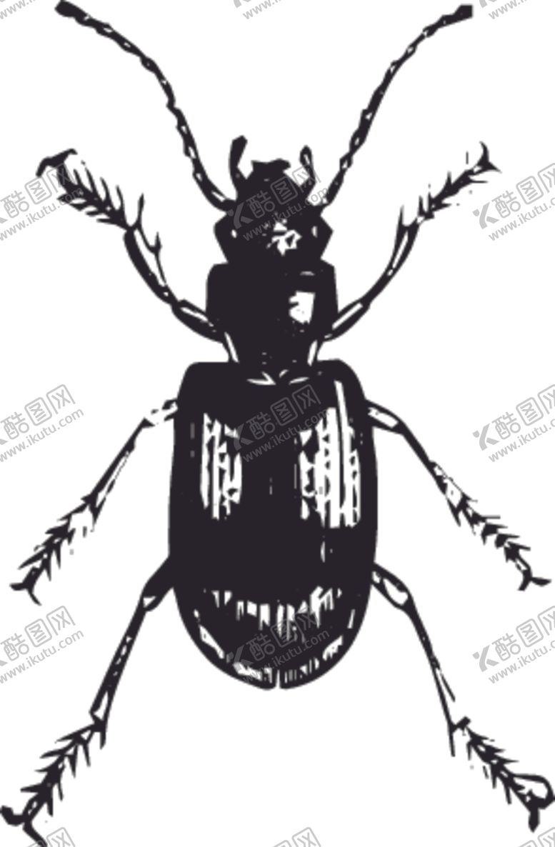 编号：65965610061600357236【酷图网】源文件下载-自然昆虫蝴蝶标本插画