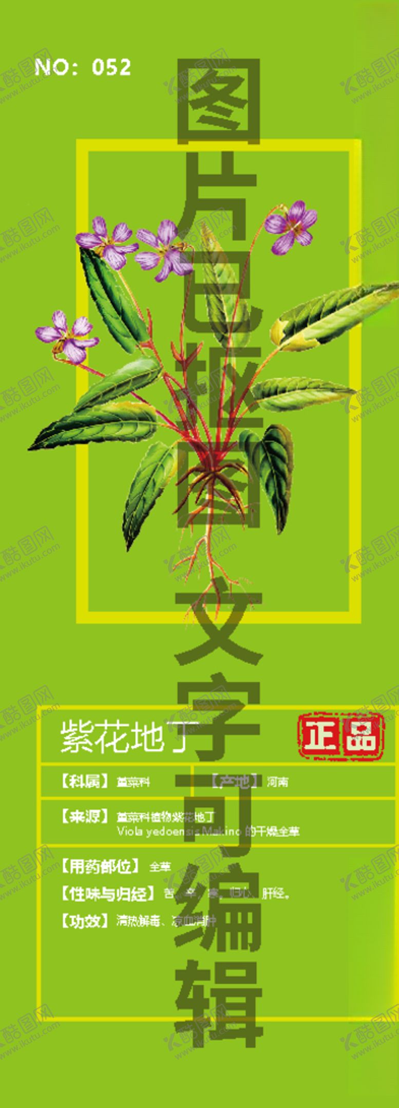 编号：29079006180955301698【酷图网】源文件下载-紫花地丁
