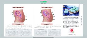 孕妈妈及胎宝宝变化第四个月