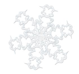 雪花