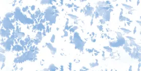 手绘花卉数码印晕染大牌