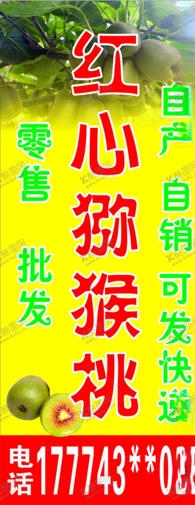 编号：77798106240709143656【酷图网】源文件下载-猕猴桃