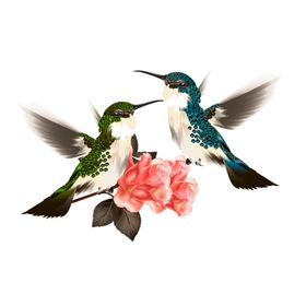 鸟红花