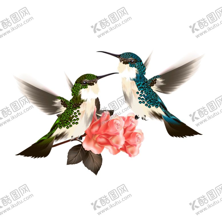 编号：85345605030114308219【酷图网】源文件下载-鸟红花