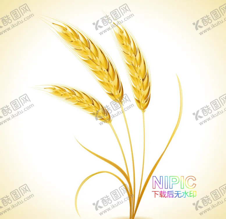 编号：60104704190932279642【酷图网】源文件下载-麦穗
