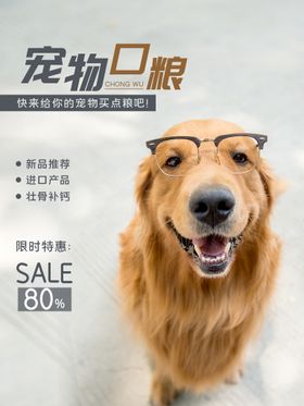 宠物海报寄养服饰生活馆淘宝