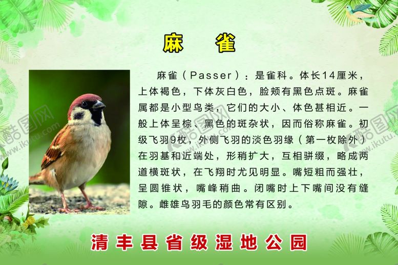 编号：68571309212356278215【酷图网】源文件下载-鸟类简介
