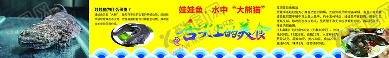 编号：87450309151550287624【酷图网】源文件下载-娃娃鱼 舌尖上的美食 
