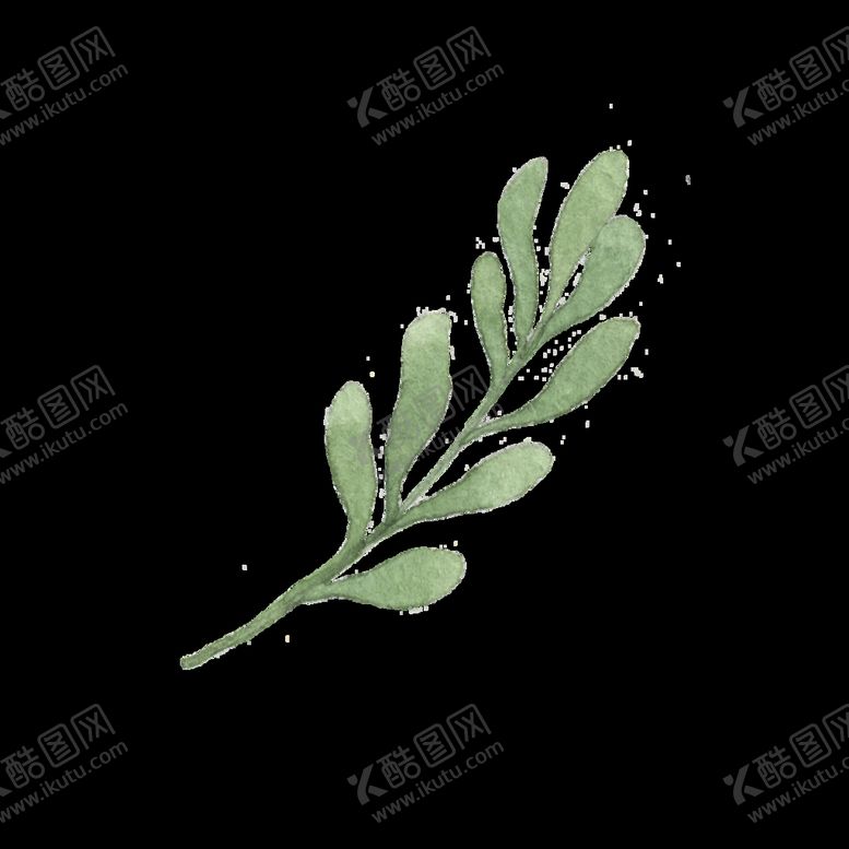 编号：42588310261218016148【酷图网】源文件下载-水彩树叶树枝 