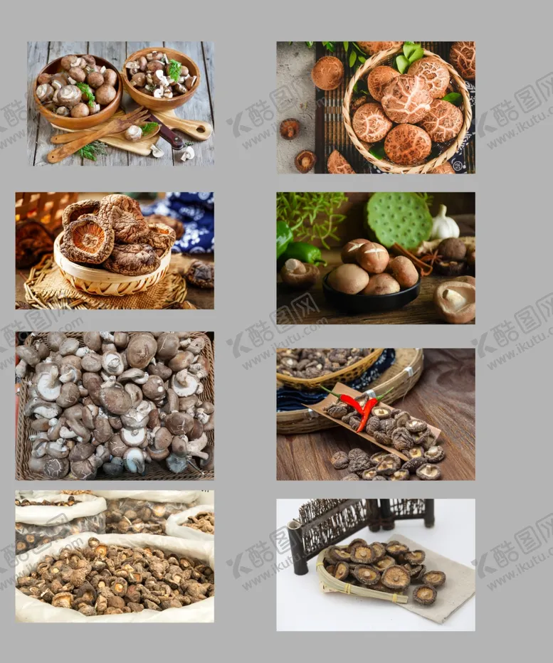 编号：16161809120510022083【酷图网】源文件下载-香菇