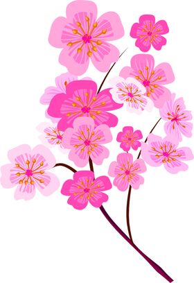 鲜花装饰康乃馨郁金香朵素材朵底纹