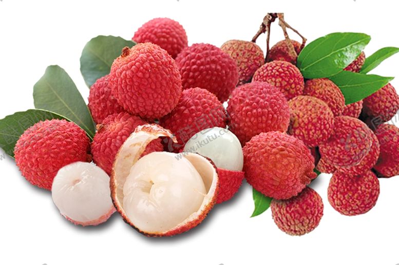 编号：94649609211227591141【酷图网】源文件下载-荔枝