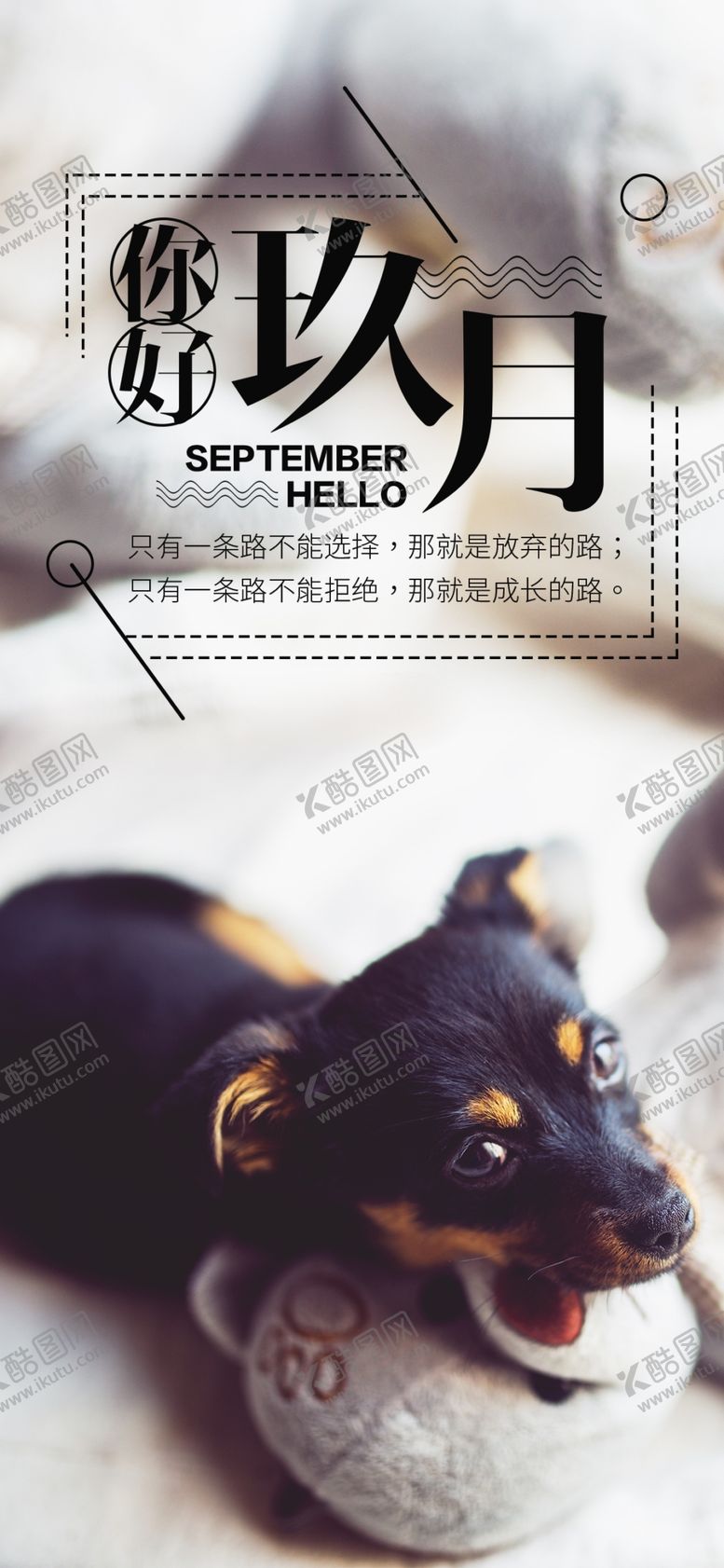 编号：11622009261122532524【酷图网】源文件下载-九月你好