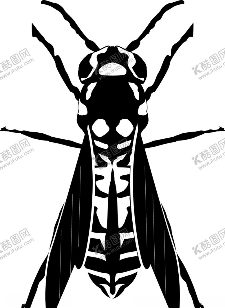 编号：34118110110730199503【酷图网】源文件下载-大黄蜂