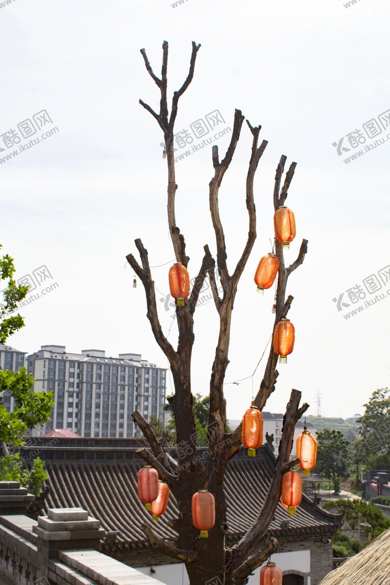 编号：71945305130648469278【酷图网】源文件下载-灯笼树