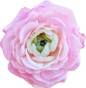 玫瑰花朵装饰