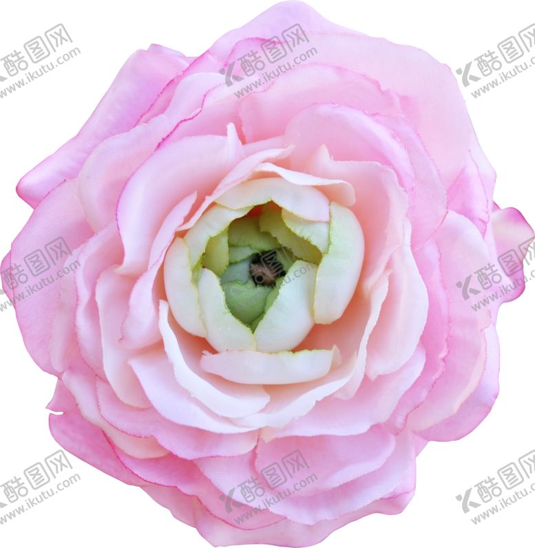 编号：83166206290514328113【酷图网】源文件下载-玫瑰花朵装饰